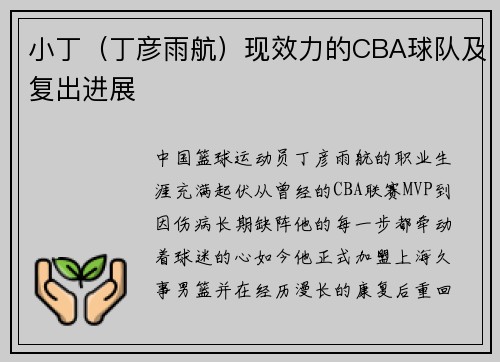 小丁（丁彦雨航）现效力的CBA球队及复出进展